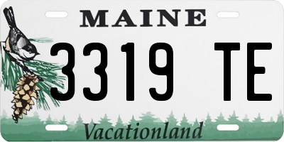 ME license plate 3319TE