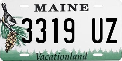 ME license plate 3319UZ