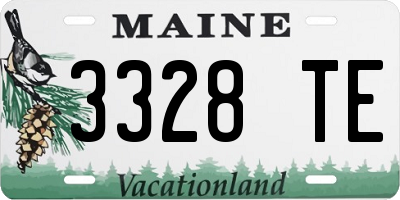 ME license plate 3328TE