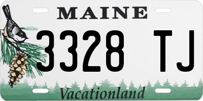ME license plate 3328TJ