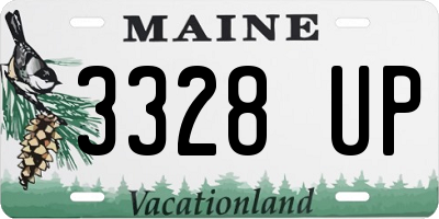 ME license plate 3328UP