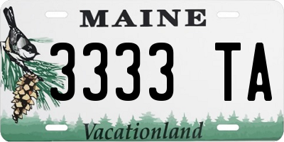 ME license plate 3333TA