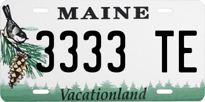 ME license plate 3333TE