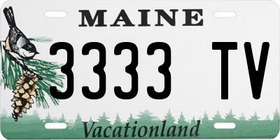 ME license plate 3333TV
