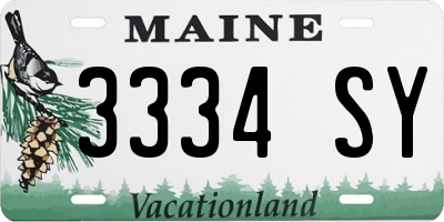 ME license plate 3334SY