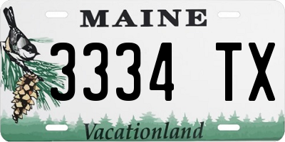 ME license plate 3334TX