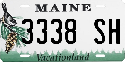 ME license plate 3338SH