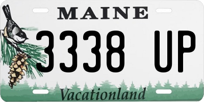 ME license plate 3338UP