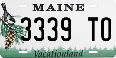 ME license plate 3339TO