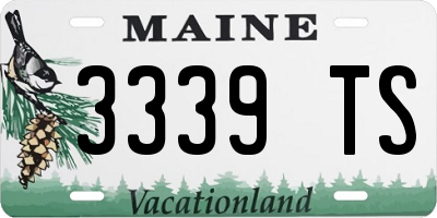 ME license plate 3339TS
