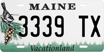 ME license plate 3339TX