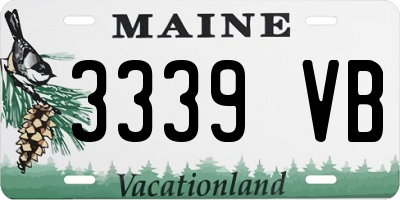 ME license plate 3339VB