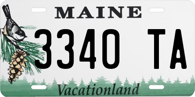 ME license plate 3340TA