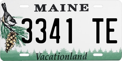 ME license plate 3341TE
