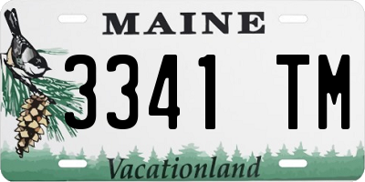 ME license plate 3341TM