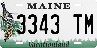 ME license plate 3343TM
