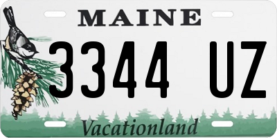 ME license plate 3344UZ