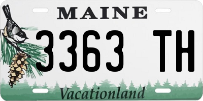 ME license plate 3363TH