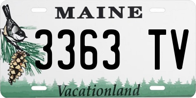 ME license plate 3363TV