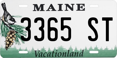 ME license plate 3365ST