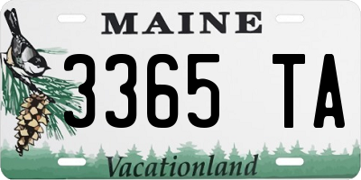 ME license plate 3365TA