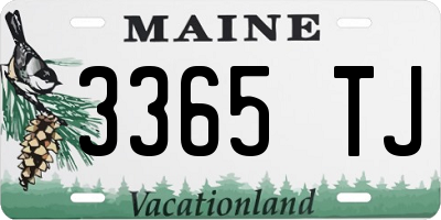 ME license plate 3365TJ