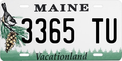 ME license plate 3365TU
