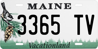 ME license plate 3365TV