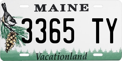 ME license plate 3365TY