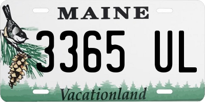 ME license plate 3365UL