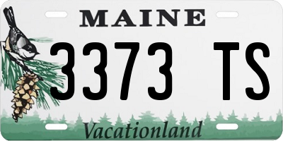 ME license plate 3373TS