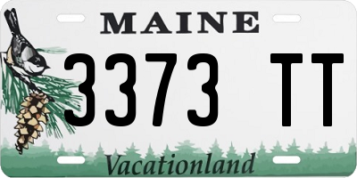 ME license plate 3373TT
