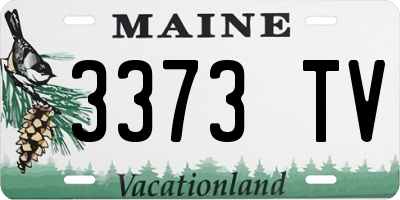 ME license plate 3373TV