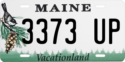 ME license plate 3373UP