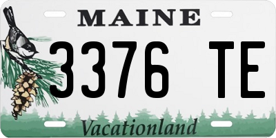 ME license plate 3376TE