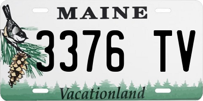 ME license plate 3376TV