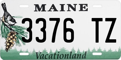 ME license plate 3376TZ