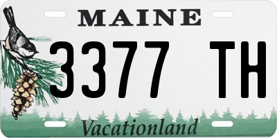 ME license plate 3377TH