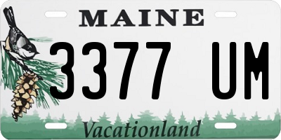 ME license plate 3377UM