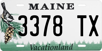 ME license plate 3378TX