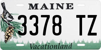 ME license plate 3378TZ