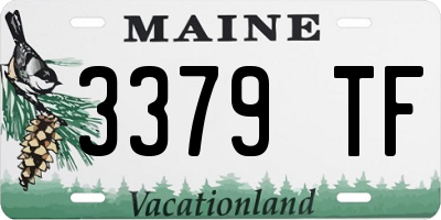ME license plate 3379TF