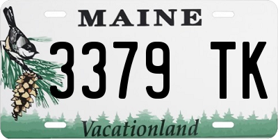 ME license plate 3379TK