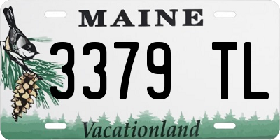 ME license plate 3379TL