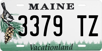 ME license plate 3379TZ