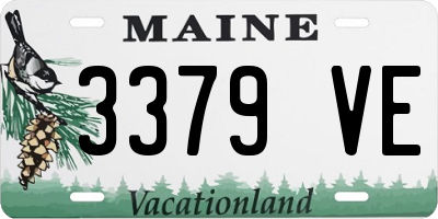 ME license plate 3379VE