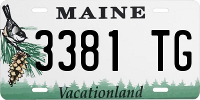 ME license plate 3381TG