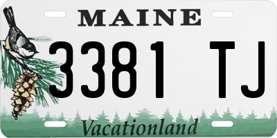 ME license plate 3381TJ