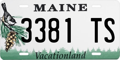 ME license plate 3381TS