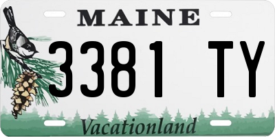 ME license plate 3381TY